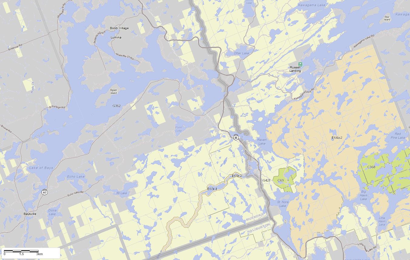 Crown Land Map of Paint Lake in Municipality of Lake of Bays and the District of Muskoka